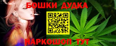 прущие грибы Бийск