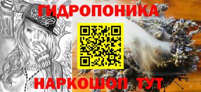 ПСИЛОЦИБИНОВЫЕ ГРИБЫ Берёзовский