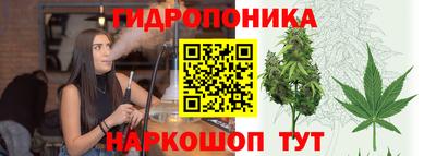 прущие грибы Бийск