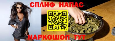 прущие грибы Бийск
