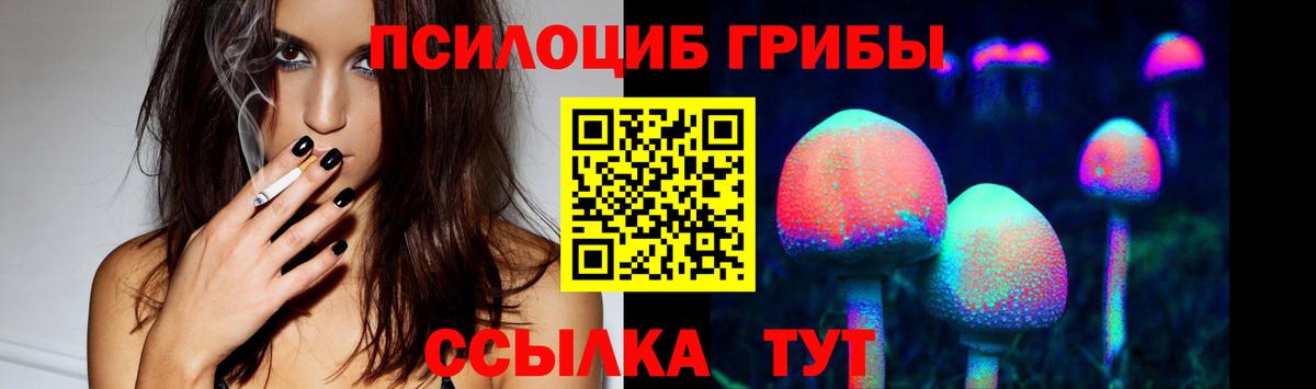 Псилоцибиновые грибы Cubensis  Галлюциногенные грибы MAGIC MUSHROOMS  Вход с VPN  Сорочинск 