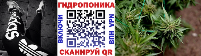 нарко площадка какой сайт  Сорочинск  Канабис тримм  цена наркотик 
